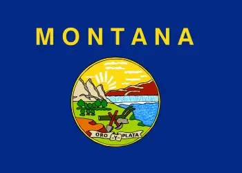 Virtual Medical Scribe Services in Montana