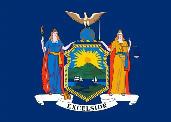 Virtual Medical Scribe Services in New York